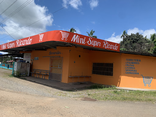 Mini super Ricardo 28