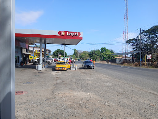 Estación Terpel | Landin