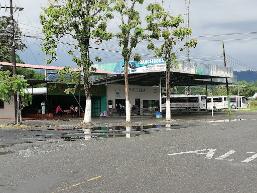 Terminal de Transporte Almirante | Panamá - Bocas del Toro